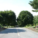 Circle M Camping Resort 16 Ft. Yurt 1