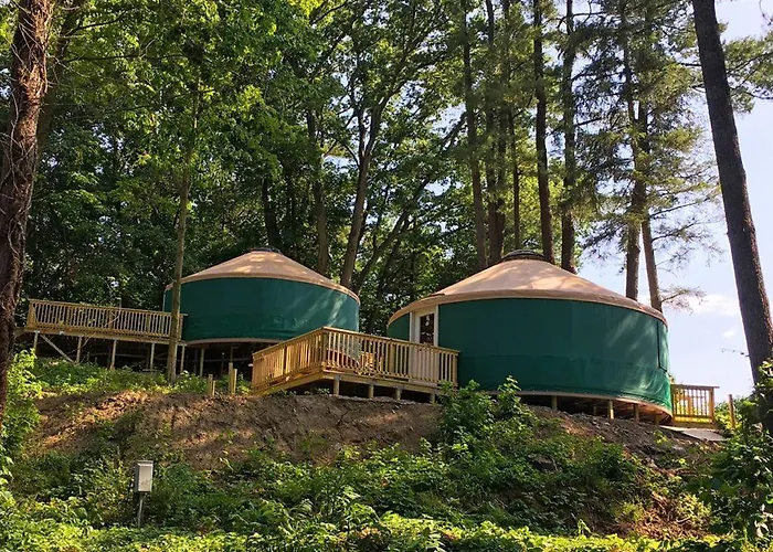 Circle M Camping Resort 16 Ft. Yurt 1