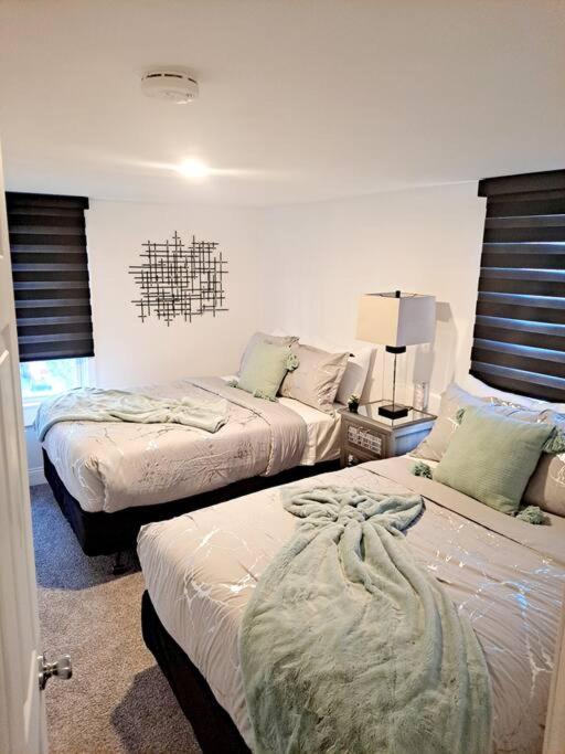 Luxe On Walnut/king Bed/off St.parkin/30 Days