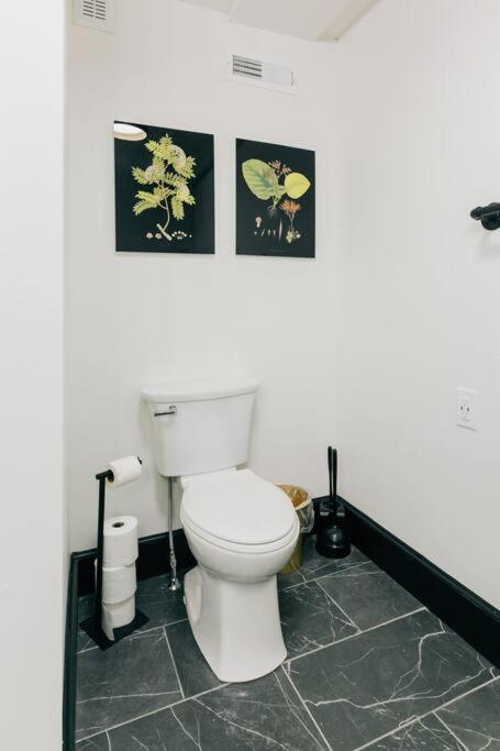Stunning 5 Bedroom -heart Of Downtown *