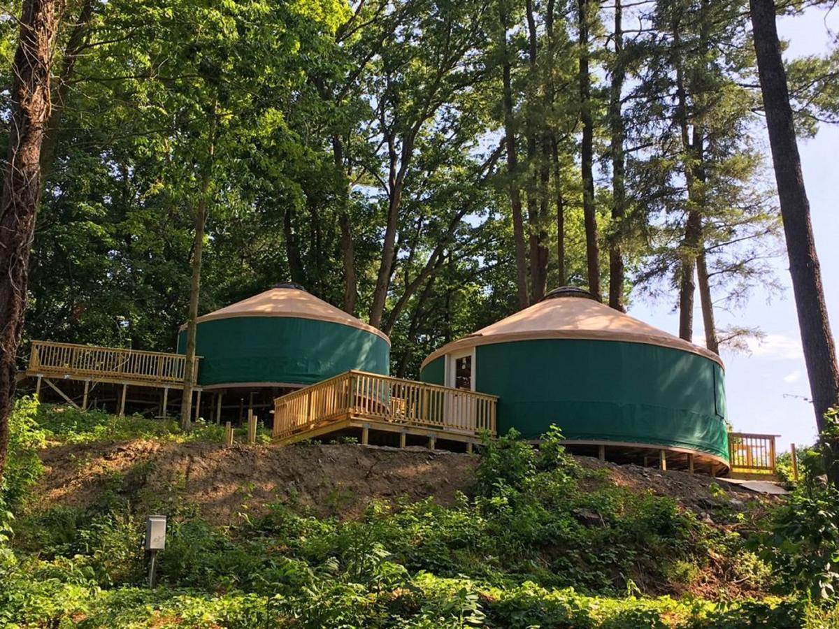 Campsite Circle M 24 Ft. Yurt 2 Lancaster