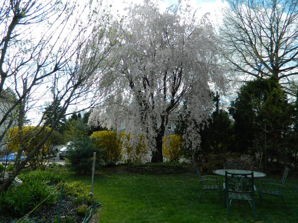 Ej Bowman House Bed & Breakfast 2*